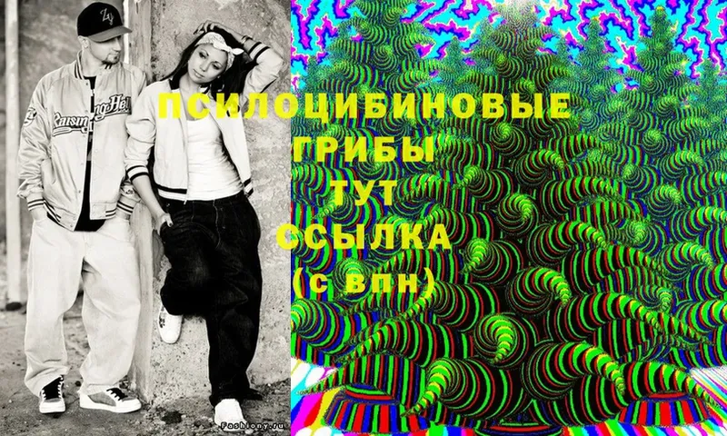 Псилоцибиновые грибы Cubensis  Волоколамск 